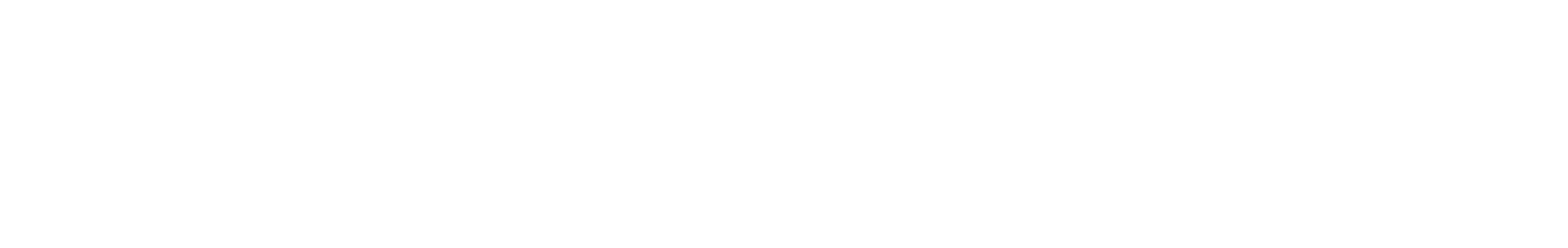 Holons
